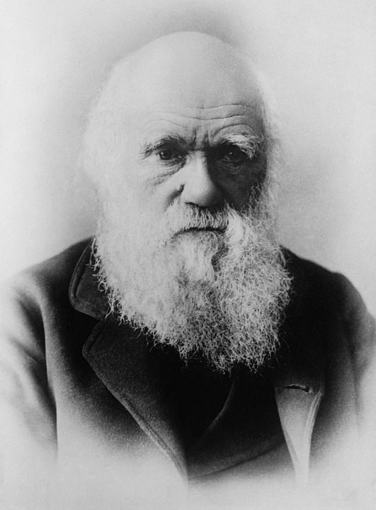 Charles Darwin, Scientists, Theory Of Evolution